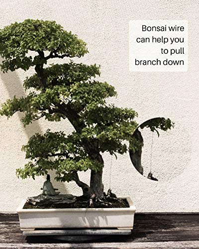 MoHern Bonsai Wire and Bonsai Tool Kit, Total 164 Feet Bonsai Tree Wire for Bonzai Trees Indoor, Size of 1-mm, 1.5-mm, 2-mm Aluminum Wire - Image 3