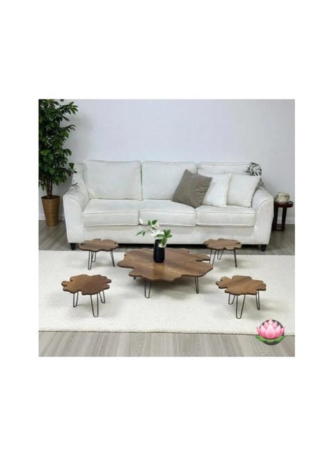 Floor coffee table set, brown wood top