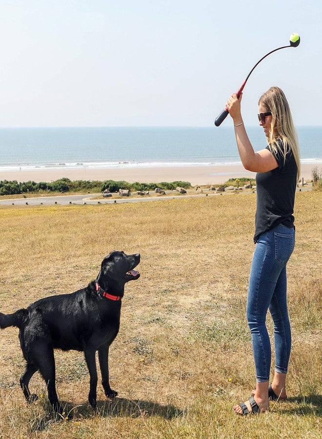 كونج إطلاق جهاز KONG HandiPOD - Image 4