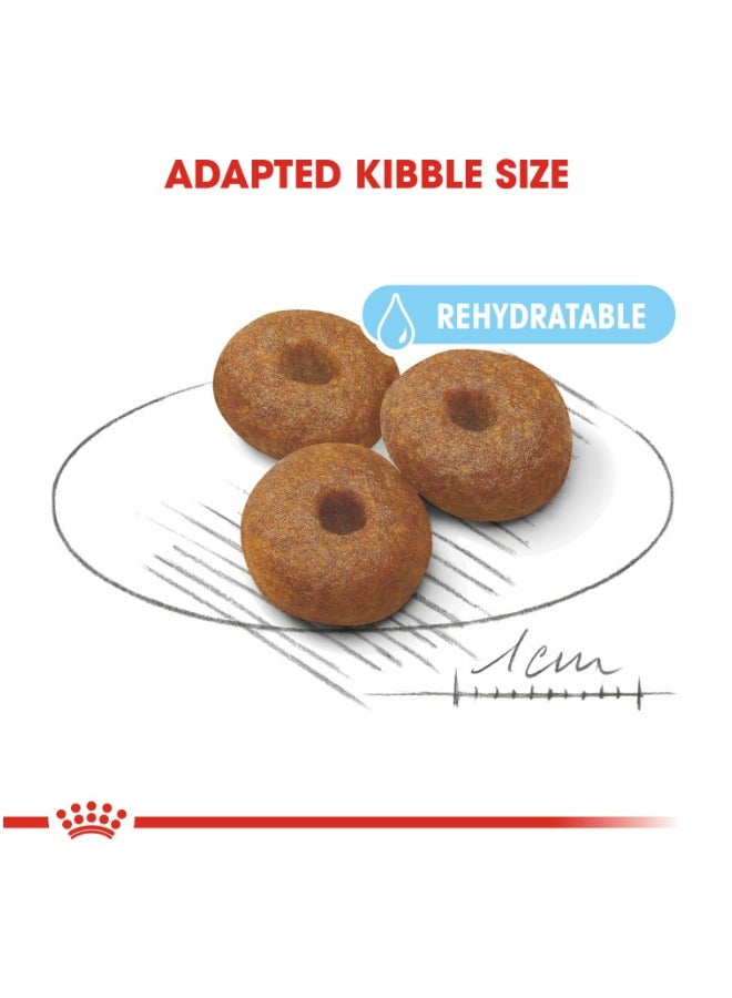 رويال كانين الحجم هيلث نيوتريشن ماكسي ستارتر 15 كغ - Image 3