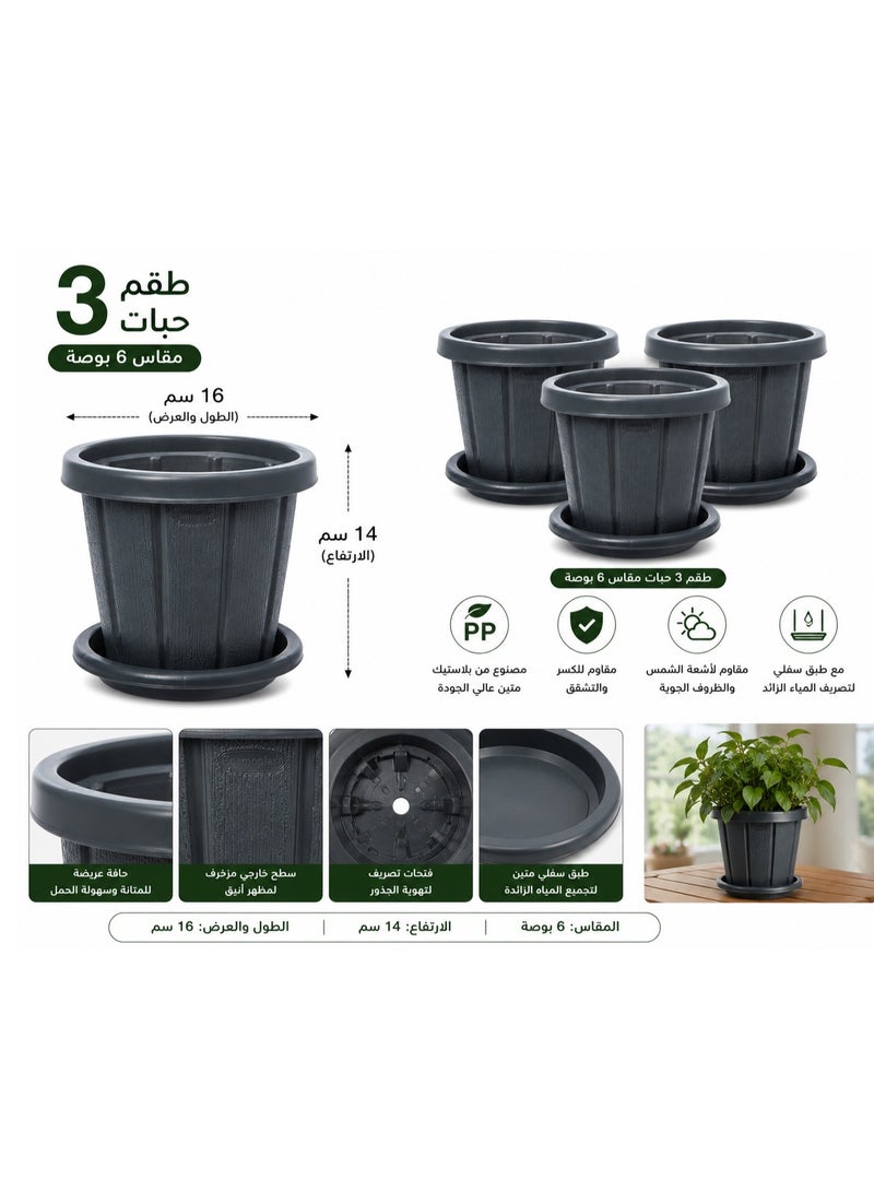 كوزموبلاست أصيص زهور كوزموبلاست سيدارجرين مقاس 6 بوصات مع صينية Tray Greyرمادي 3 قطع - Image 2