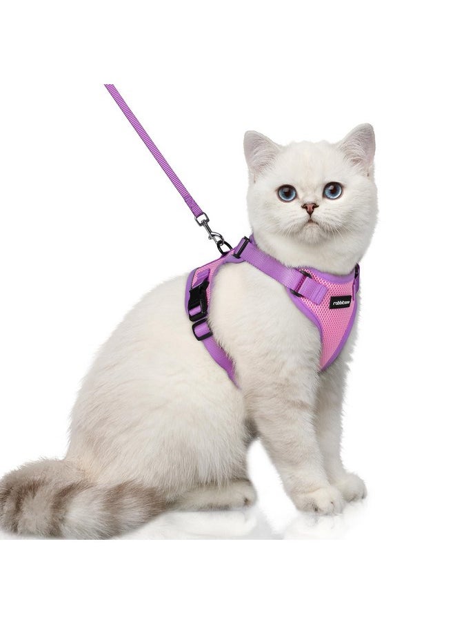 rabbitgoo Cat Harness and Leash Set, Escape Proof Soft Adjustable Vest Harnesses for Outdoor Walking, Easy Control Breathable Kitten Jacket with Reflective Strips, Pink & Purple, XS - pzsku/Z1C80F27BF332C76FCD46Z/45/_/1737031540/c104c125-392d-465c-86e4-5fda1ac1a370