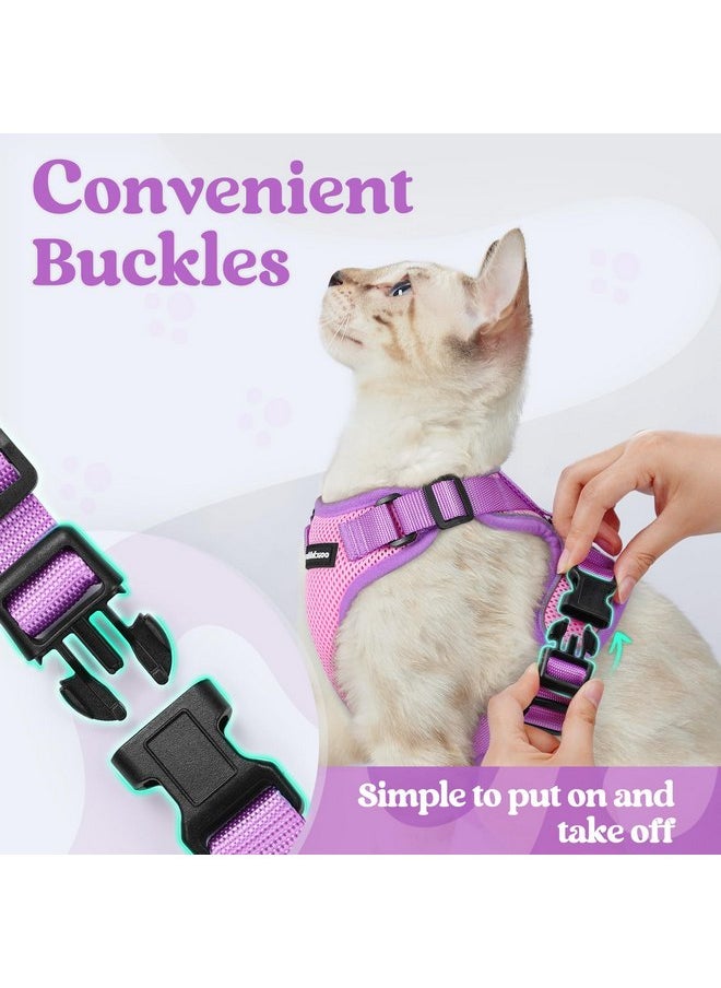 rabbitgoo Cat Harness and Leash Set, Escape Proof Soft Adjustable Vest Harnesses for Outdoor Walking, Easy Control Breathable Kitten Jacket with Reflective Strips, Pink & Purple, XS - pzsku/Z1C80F27BF332C76FCD46Z/45/_/1737031544/f62504e5-20db-4c36-9674-3477fc2aeb1b