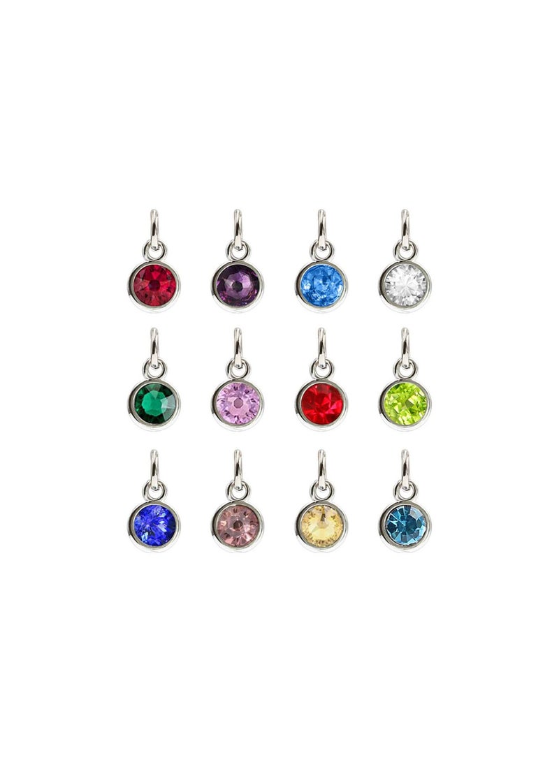 GGOOT Birthstone Charms Silver Stainless Steel Round Birthstone Dangle Pendants Beads for DIY Craft Necklace Bracelet Jewelry Making Findings 24pcs (Mixed Color) - Image 1