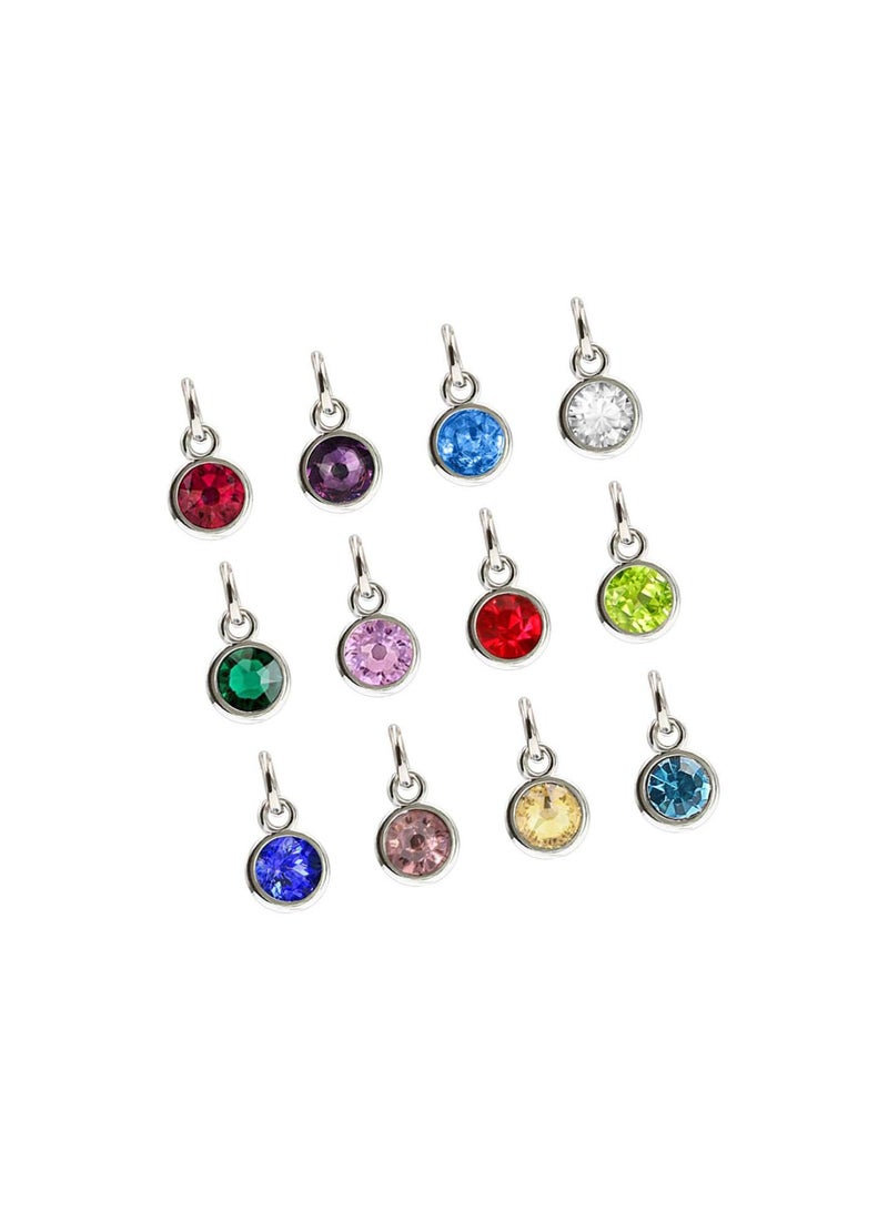 GGOOT Birthstone Charms Silver Stainless Steel Round Birthstone Dangle Pendants Beads for DIY Craft Necklace Bracelet Jewelry Making Findings 24pcs (Mixed Color) - Image 5