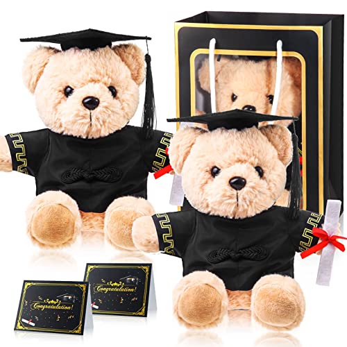 ZJoey 2 Sets Bear with Graduation Cap Toys Class of 2026 Graduation Plush Stuffed Teddy Bear Animal Dog Graduation Cap and Gown with Greeting Card and Bag for Graduation Day GiftBlack Graduation Bear - Image 1