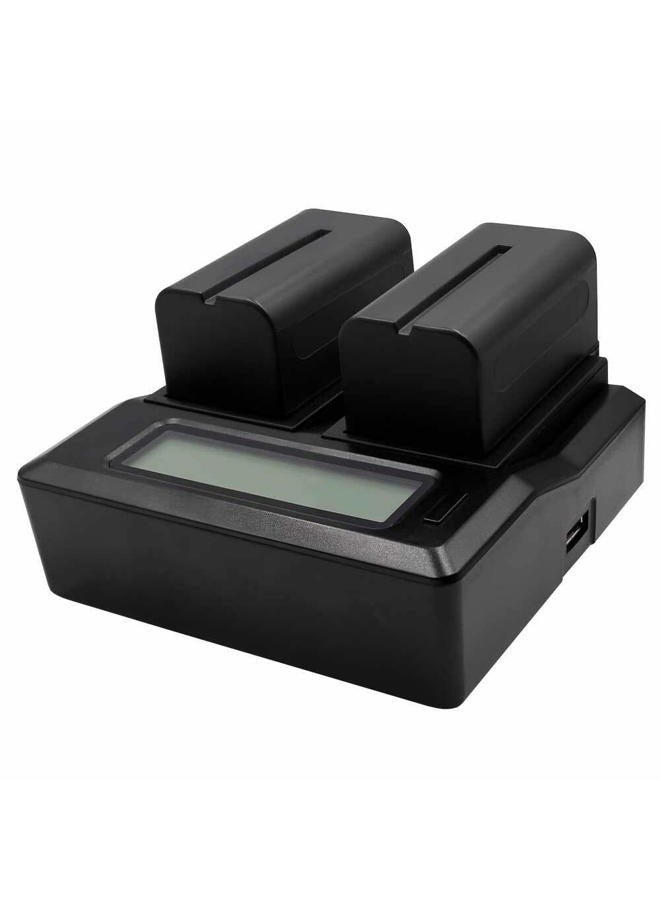 ProMaster Battery & Charger Kit Dual for Sony NP-F770, (Model 9498) - Image 1