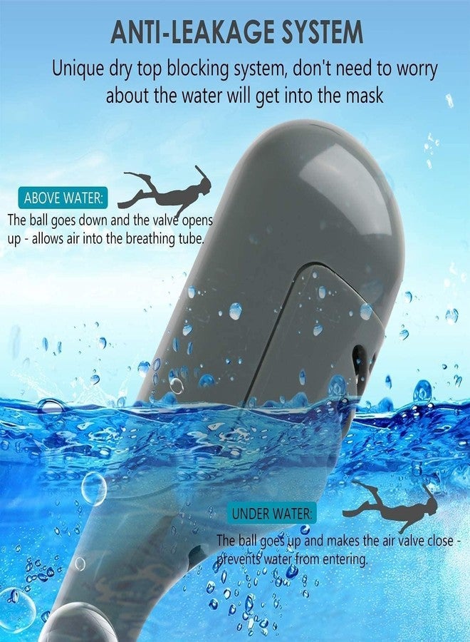 Delavala Snorkeling Gear for Adults (Grey - L-XL)- Full Face Snorkel Diving Mask Anti Fog Premium Innovative Safety Dry Top , 180 Panoramic Foldable Anti Leak Swimming Mask with Camera Mount - Image 3