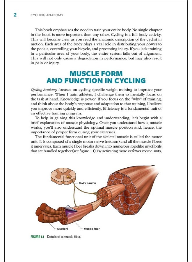 Cycling Anatomy - Image 1
