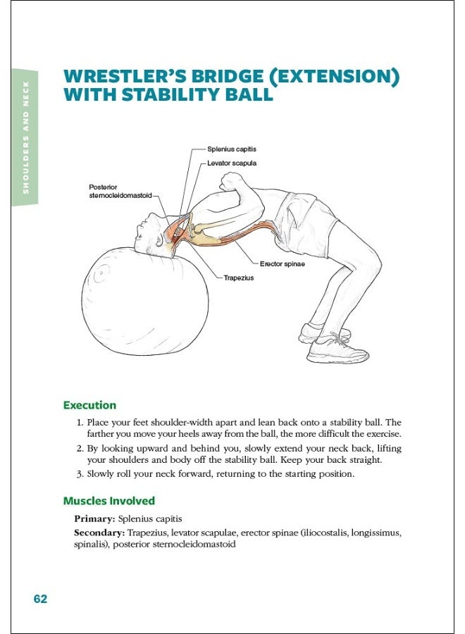 Cycling Anatomy - Image 5