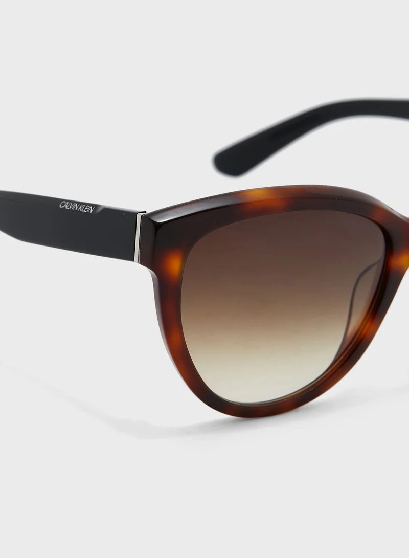 CALVIN KLEIN Cat-Eye Sunglasses