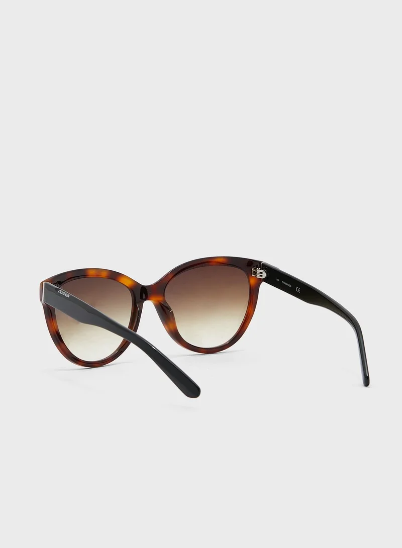 CALVIN KLEIN Cat-Eye Sunglasses