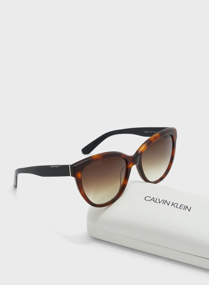 CALVIN KLEIN Cat-Eye Sunglasses