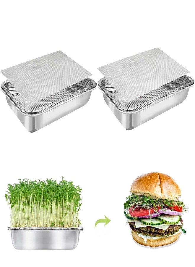 TCYPUHL Stainless Steel Sprouts Growing Kit Trays 2-Tier 12.4 inch, Microgreens Growing Kit, Seed Sprouting Tray with Encrypted Mesh Sprouts for Beans Alfalfa Broccoli Seeds Wheat Grass - Image 1