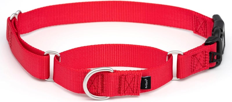 PetSafe Martingale Dog Collar with Quick Snap Buckle - Large, Red - Image 1