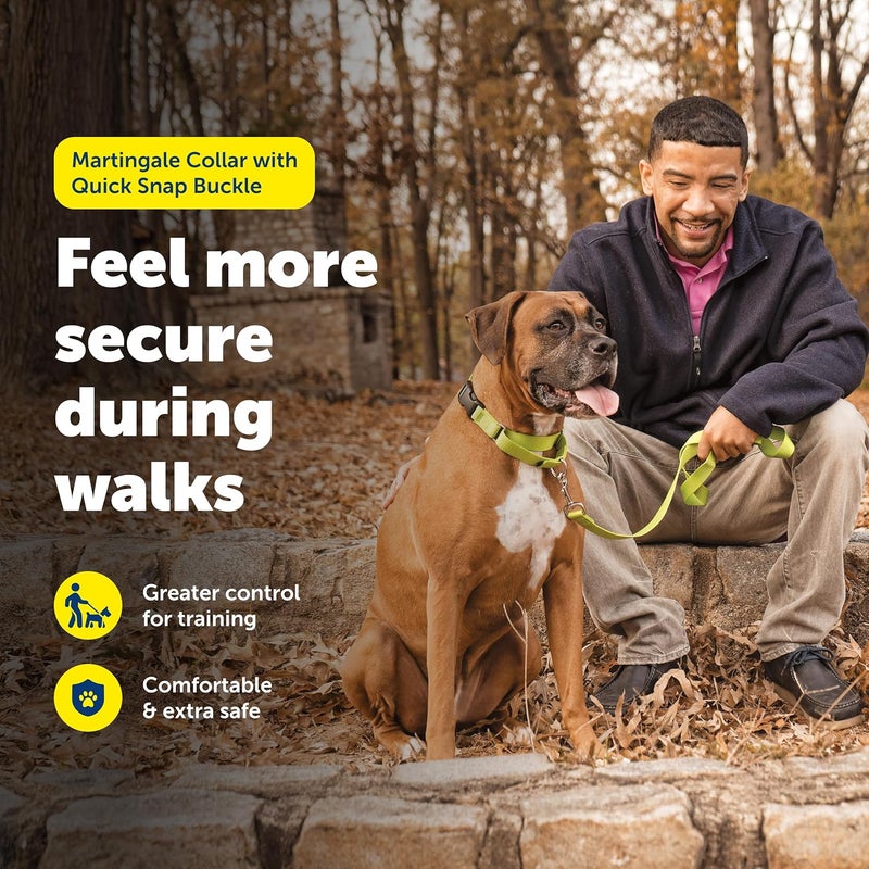 PetSafe Martingale Dog Collar with Quick Snap Buckle - Large, Red - Image 2