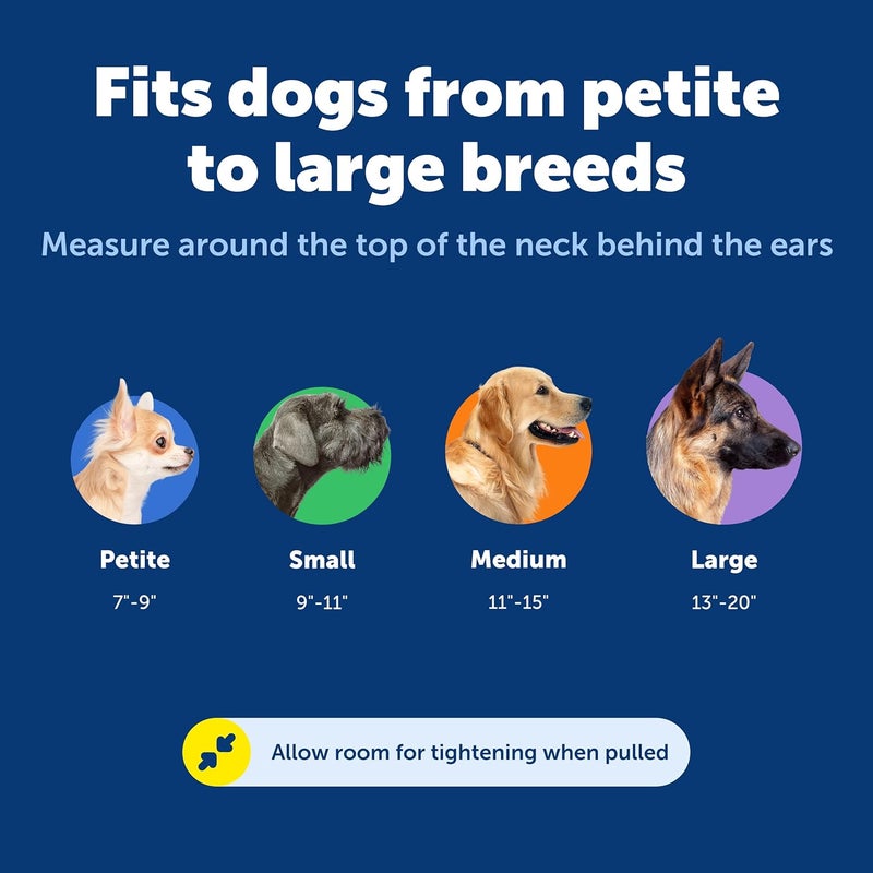 PetSafe Martingale Dog Collar with Quick Snap Buckle - Large, Red - Image 5