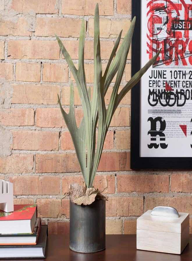 Vickerman Everyday 23.5" Indoor Artificial Green Staghorn Fern - Decorative Pick of Durable Polyester Greenery for Home Or Office - Maintenance Free - Image 5