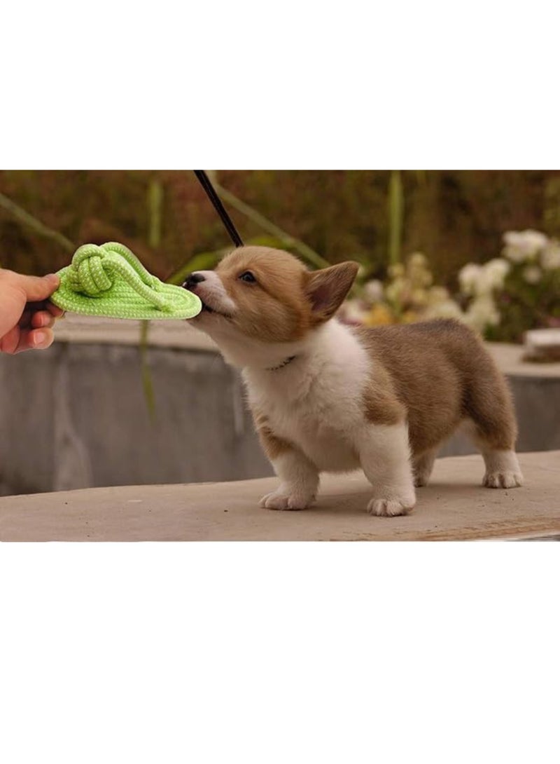 MASINGAA PET SHOE TOY (green) - Image 4