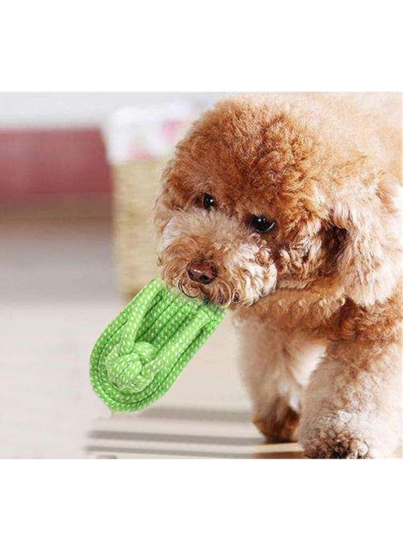 MASINGAA PET SHOE TOY (green) - Image 1