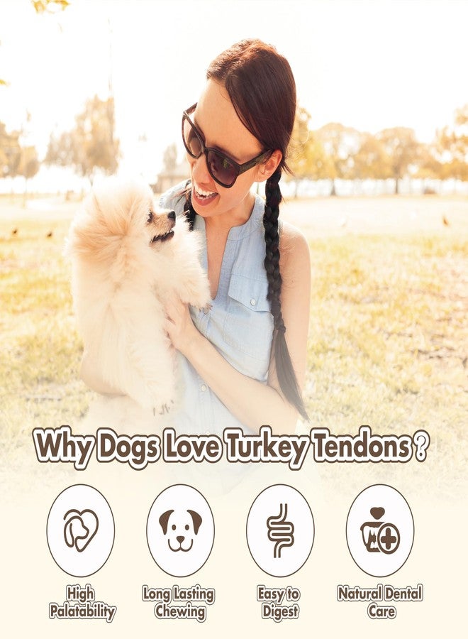 VITADAY Turkey Tendon Bone (S) Pack of 4, 100% Natural, USA-Sourced Turkey Tendon, High-Protein, Low-Fat, Long-Lasting Dog Chew, Rawhide Alternative, Hypoallergenic Puppy & Dog Treats - Image 4