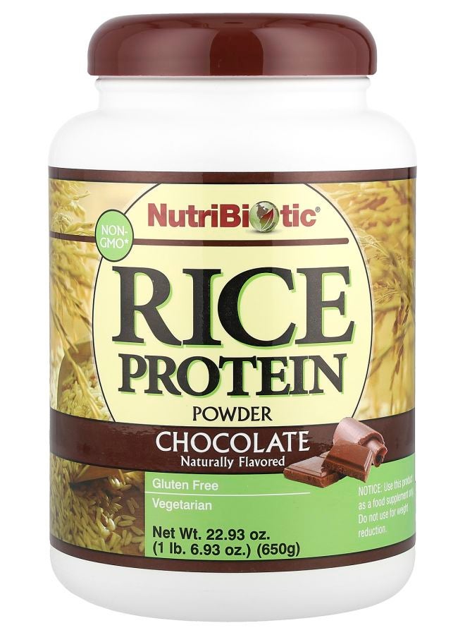 Nutribiotic Rice Protein Powder Chocolate 1 lb 6.93 oz (650 g) - Image 1