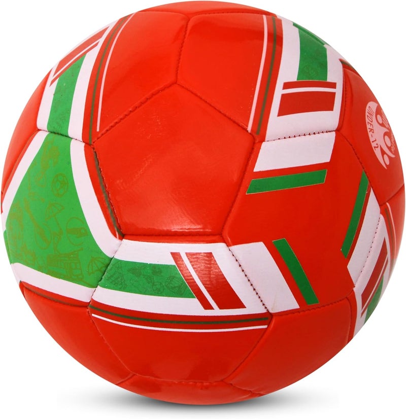 نيفيا كرة قدم نيفيا سبينر مخيطة آليًا (البرتغال)، 32 لوحة، كرة قدم مخيطة من مادة البولي فينيل كلوريد، كرة قدم للتدريب والترفيه للمبتدئين، مقاس كرة القدم - 5 (متعدد الألوان) - Image 3