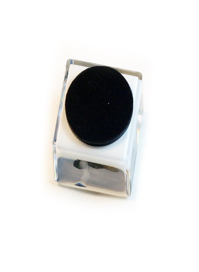 REALBUG Real Lantern Fly with Wings Open in an Acrylic Cube with Magnet - Image 4