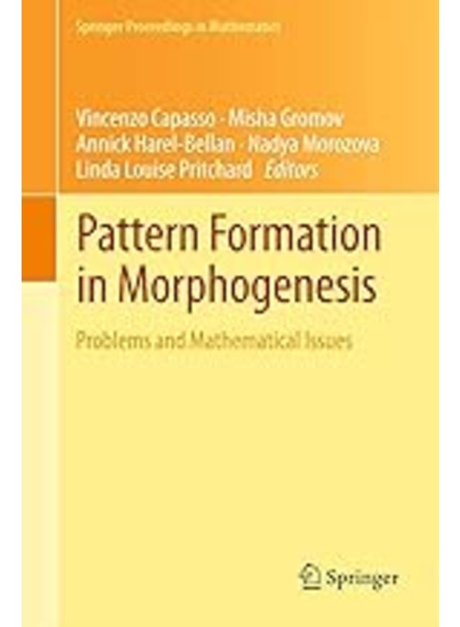 تكوين الأنماط في التشكل: المشكلات والقضايا الرياضية