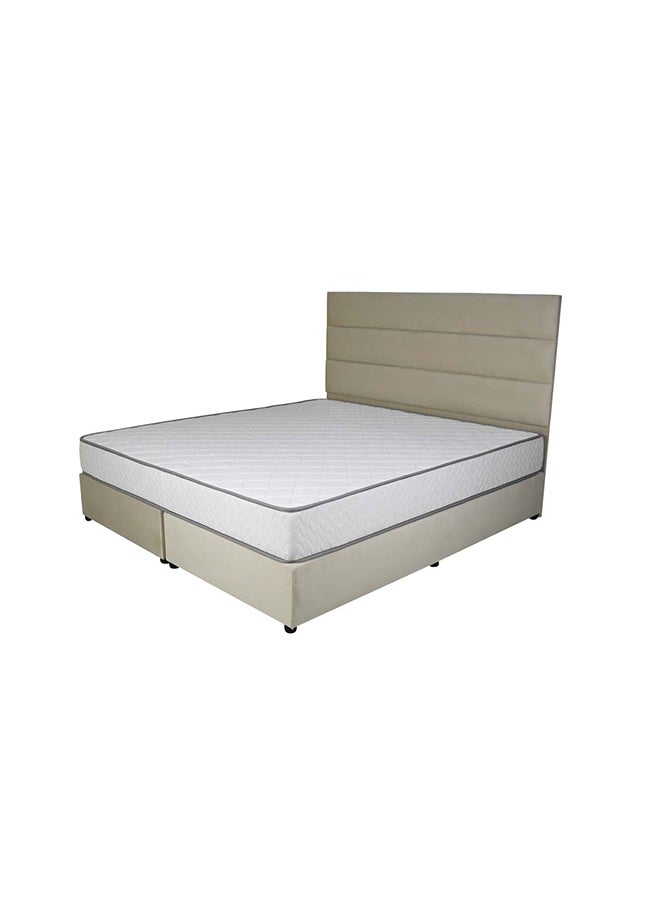Bed and Mattress Zone Serenity Upholstered Bed 203 X 160 Queen Size Beige Color, Mattress Size-200x160cm (Mattress sold separately)  - Image 2