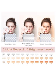 AMBERJACK LED Video Light, Computer Light for Meeting Video Light, Fill Light LED Selfie Light with Clip Portable Phone Light for Video Shooting Vlogging Kit, 60 Beads 3 Colors, Fill Light for iPhone Photo Camera Computer Laptop TikTok Makeup Video Call  - Image 3