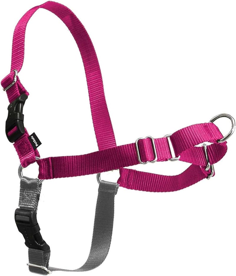 PetSafe Easy Walk Dog Harness - No Pull for Large Dogs, Raspberry/Gray - Image 1