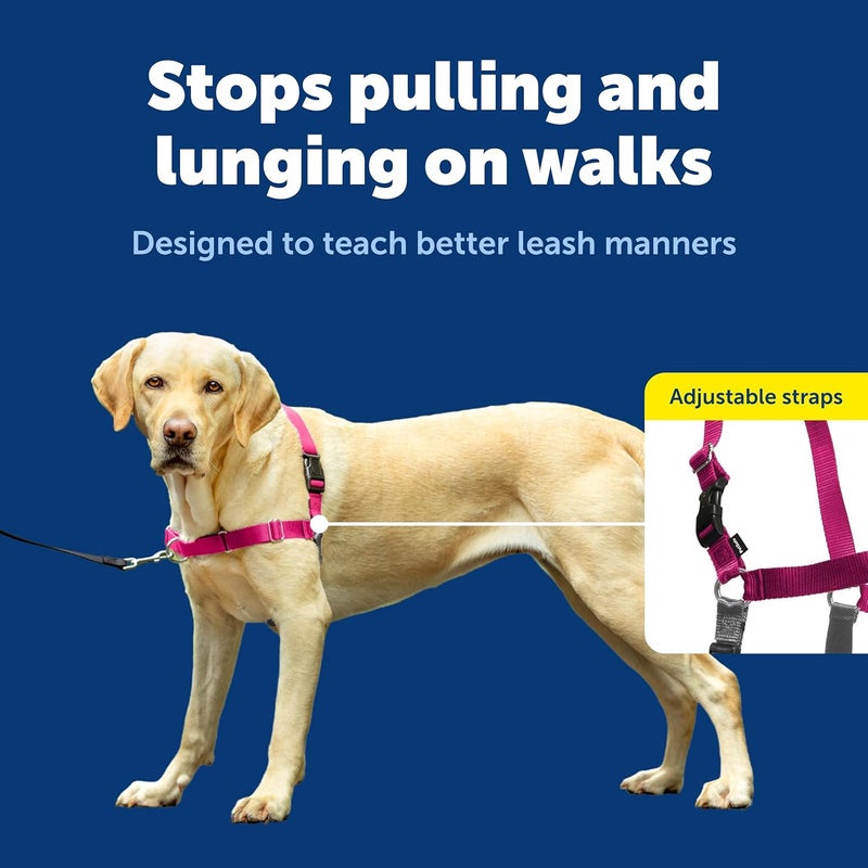 PetSafe Easy Walk Dog Harness - No Pull for Large Dogs, Raspberry/Gray - Image 4