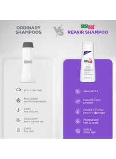 Hair Repair Shampoo For Dry Damaged Hair 200ml - pzsku/Z1C96041F62668BD05F06Z/45/_/1729371923/8b0d7ac1-8afa-4dc0-ae73-e01c42ad6b7d