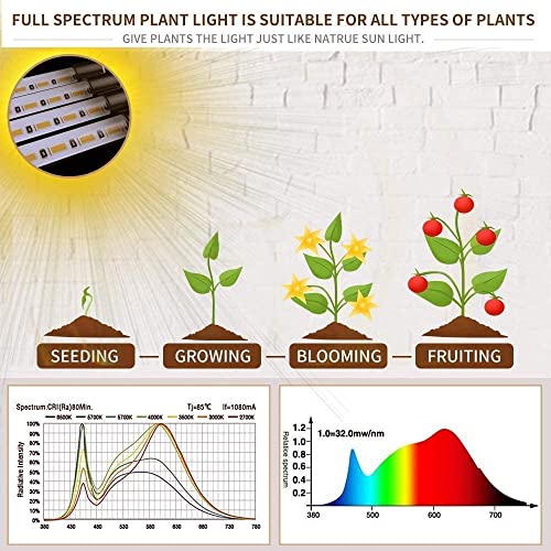bseah Grow Light Plant Light Indoor Plants, Full Spectrum Clip Plant Growing Lamp, 10-Level Dimmable, On Off Timing 3 9 12Hrs (2 Pack) - Image 3