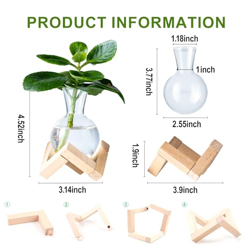 wangsdjy Propagation Stations Propagation vases with Wooden Stand Small Tabletop Glass Bulb Vases for Hydroponics Plant Propagation Station Home Office Decoration Gift for Women Plant Lovers 2 - Image 3