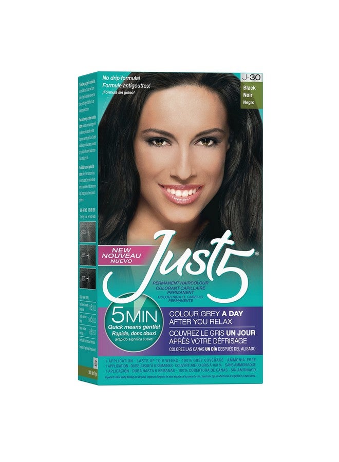 Just 5 Women'S 5 Minute Permanent Hair Color With Conditioner Grey Hair Coloring For Women Black - Image 1