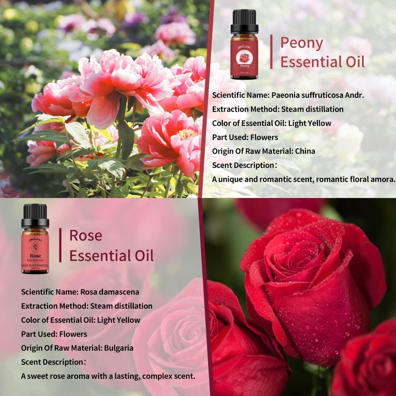 yethious Rose Essential Oil Organic Flower Natrual Peony Essential Oil for Diffuser, Skin Care, Soap/Candles Making - 2 X 10ML Essential Oil Set Gift - Image 2