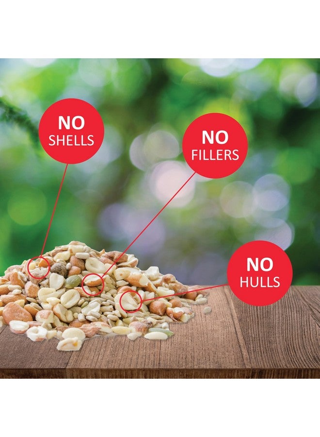 Lyric Lyric Delite Wild Bird Seed - No Waste Bird Food Mix with Shell-Free Nuts & Seeds - Attracts Buntings, Chickadees & Finches - 5 lb bag  - Image 2