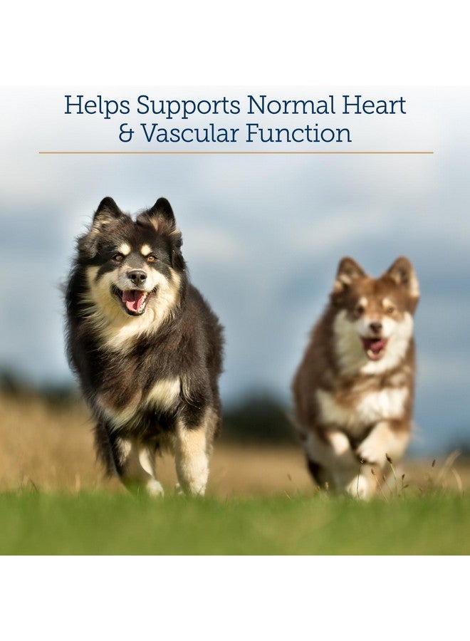 ركس فيتامينز تركيبة فيتامينات Rx CV - كبسولات توت الزعرور مع التورين للكلاب والقطط - مكملات غذائية لصحة القلب مُعززة بالمغنيسيوم والبوتاسيوم - فيتامينات للكلاب والقطط المسنة - 90 قرصًا - Image 3