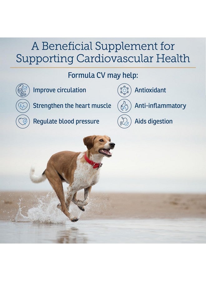 ركس فيتامينز تركيبة فيتامينات Rx CV - كبسولات توت الزعرور مع التورين للكلاب والقطط - مكملات غذائية لصحة القلب مُعززة بالمغنيسيوم والبوتاسيوم - فيتامينات للكلاب والقطط المسنة - 90 قرصًا - Image 4