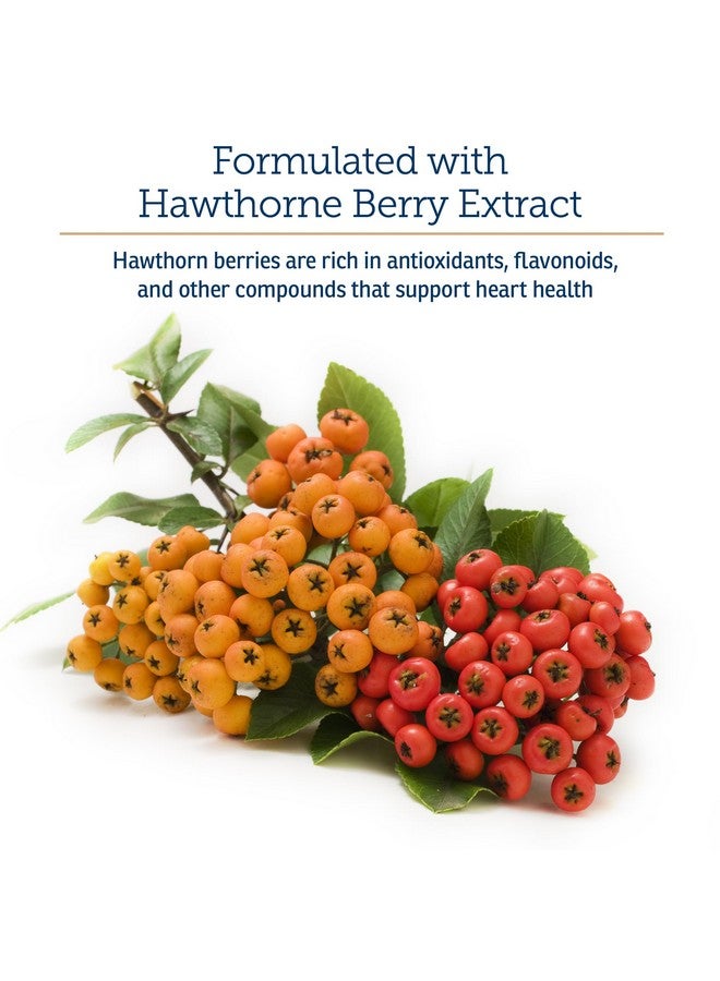 ركس فيتامينز تركيبة فيتامينات Rx CV - كبسولات توت الزعرور مع التورين للكلاب والقطط - مكملات غذائية لصحة القلب مُعززة بالمغنيسيوم والبوتاسيوم - فيتامينات للكلاب والقطط المسنة - 90 قرصًا - Image 5