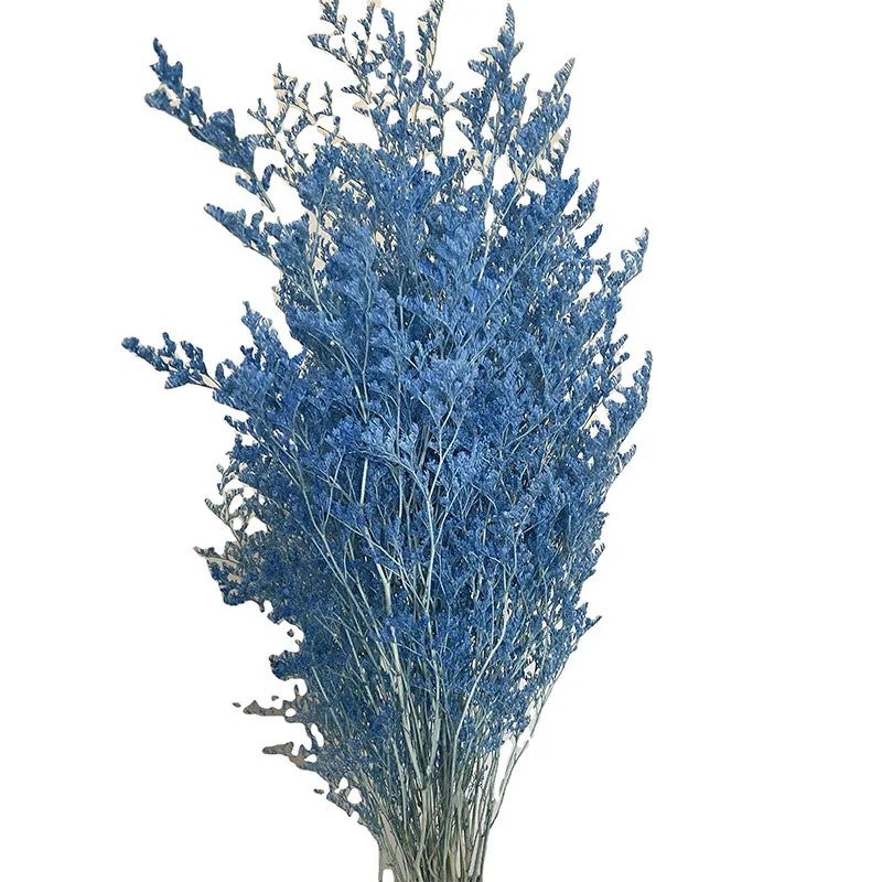 Bluejw Statice Caspia Dried Flowers - Misty Grass Preserved Limonium Sea Lavender for Wedding & Event Decor - Natural Dried Plants - Image 2