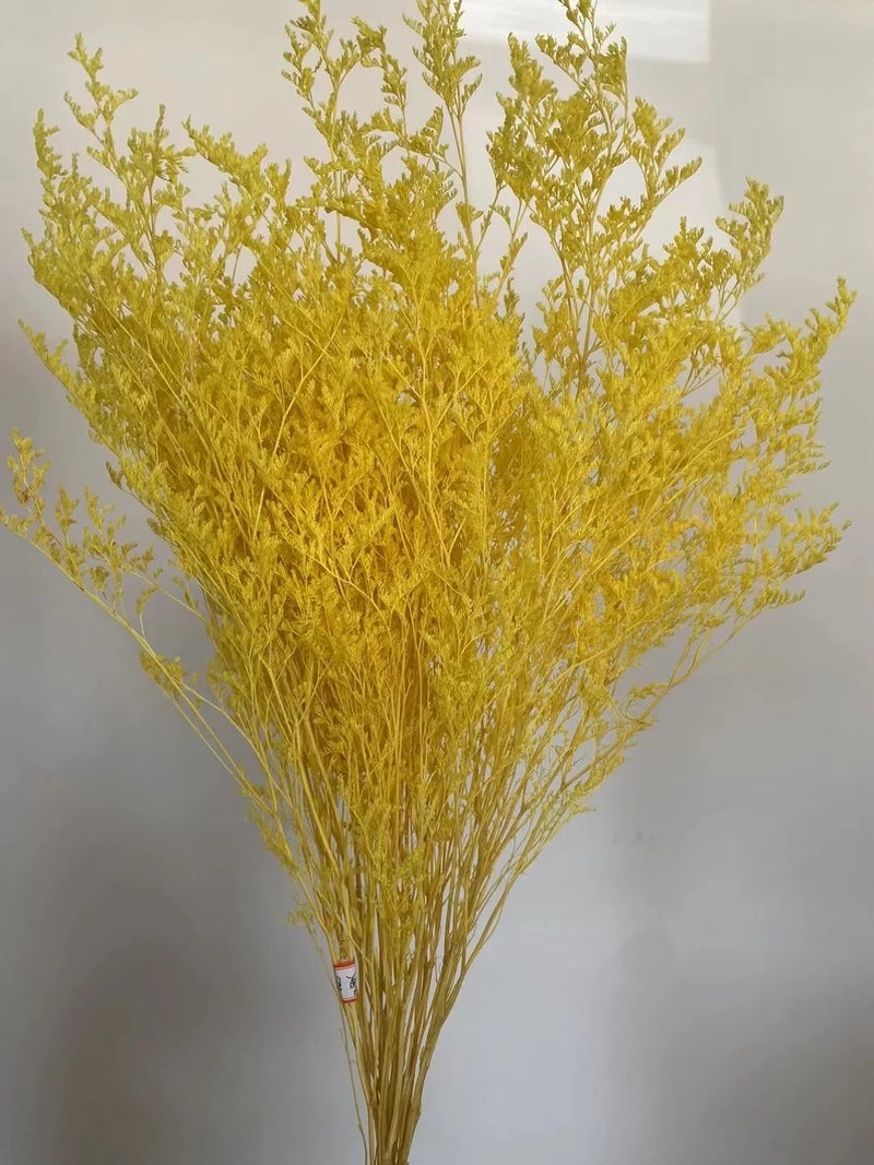 Bluejw Statice Caspia Dried Flowers - Misty Grass Preserved Limonium Sea Lavender for Wedding & Event Decor - Natural Dried Plants - Image 1
