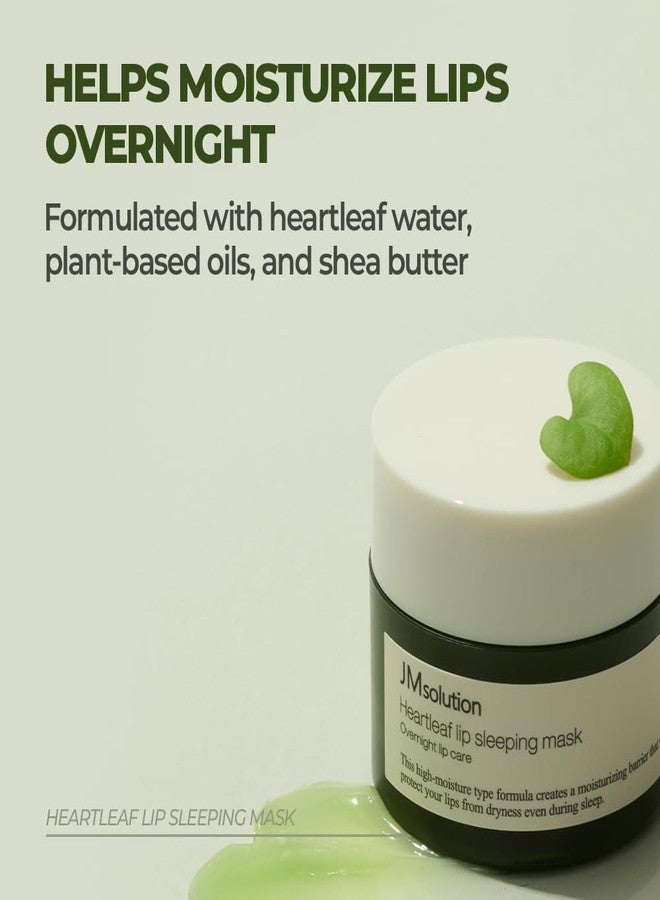 JMsolution Heartleaf Lip Sleeping Mask – Overnight Repair Lip Balm with Houttuynia Cordata & Shea Butter – Soothing & Hydrating Care for Dry, Chapped, and Sensitive Lips (20g / 0.70 oz - Image 4