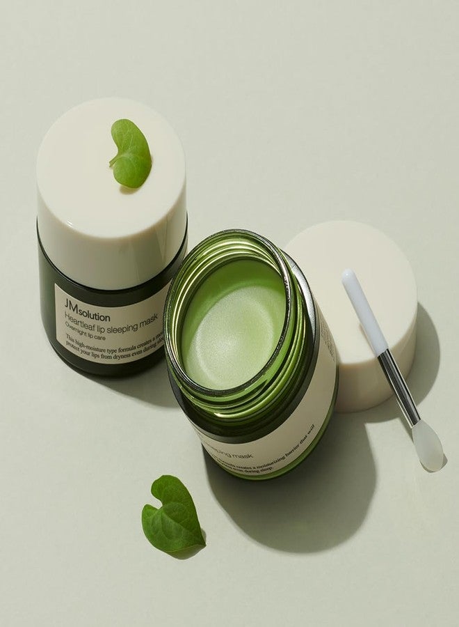 JMsolution Heartleaf Lip Sleeping Mask – Overnight Repair Lip Balm with Houttuynia Cordata & Shea Butter – Soothing & Hydrating Care for Dry, Chapped, and Sensitive Lips (20g / 0.70 oz - Image 2