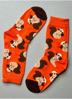 The Socks Hype 3 Pairs Unisex Squirrel Socks for Men Women - Comfortable Cotton Blend | Suitable for 35-42 Sizes | Playful Squirrel Hibernation Design  - Image 1