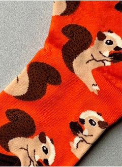 The Socks Hype 3 Pairs Unisex Squirrel Socks for Men Women - Comfortable Cotton Blend | Suitable for 35-42 Sizes | Playful Squirrel Hibernation Design  - Image 3