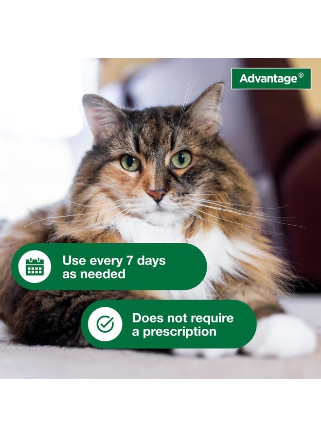 Advantage Cat Flea & Tick Shampoo for Kittens & Adult Cats | Kills Fleas & Ticks | 8 oz. - Image 4