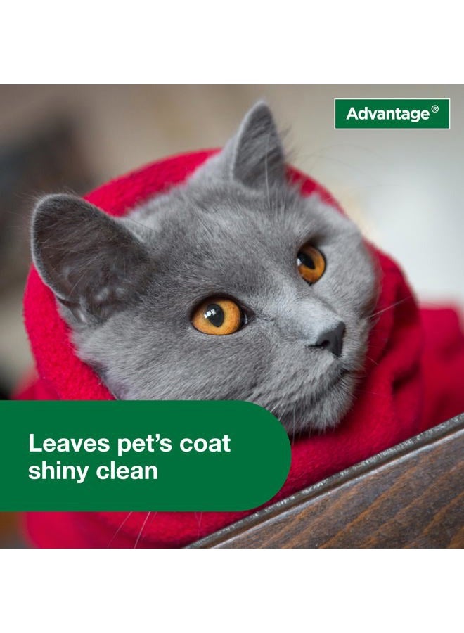 Advantage Cat Flea & Tick Shampoo for Kittens & Adult Cats | Kills Fleas & Ticks | 8 oz. - Image 5